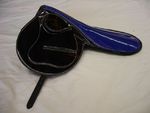 FlemingtonBlackwithBlueSeat-SideView.JPG